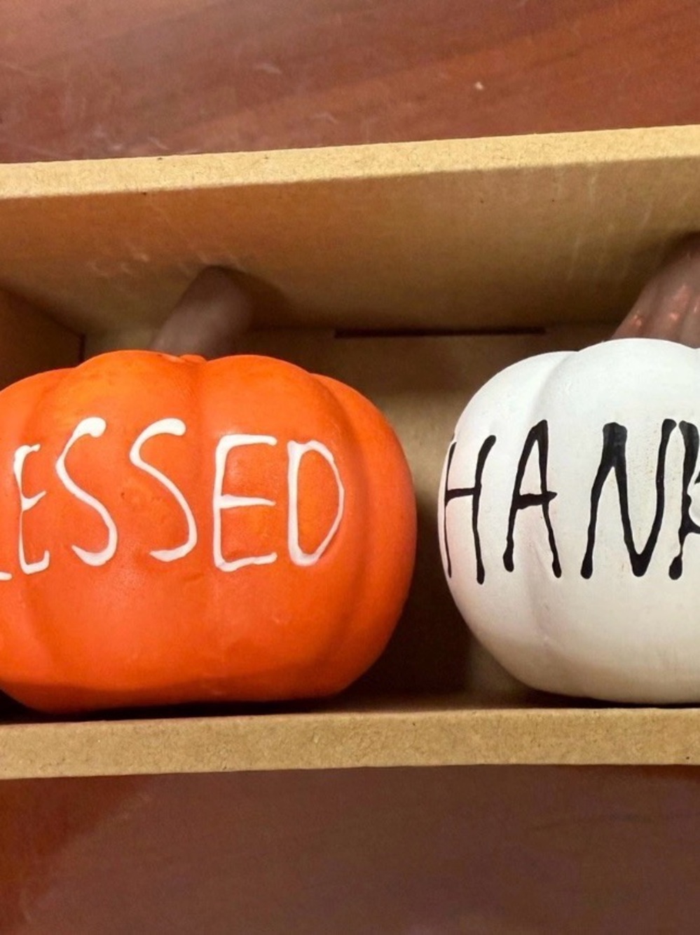 Decorative Blessed & Thankful Mini Pumpkin salt & pepper shakers Orange & White